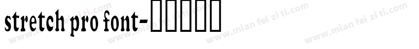 stretch pro font字体转换